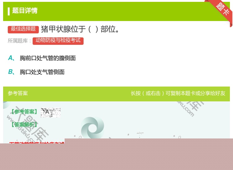 答案:猪甲状腺位于部位...