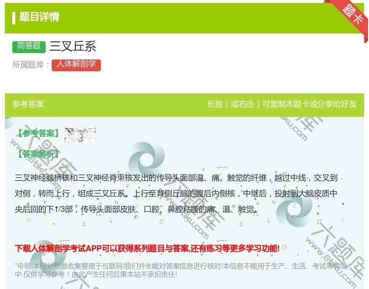 答案:三叉丘系...