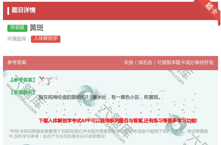 答案:黄斑...