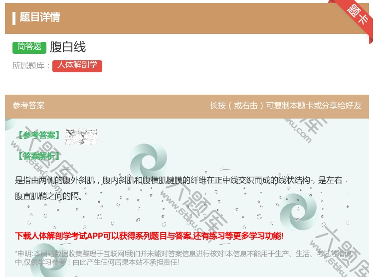 答案:腹白线...