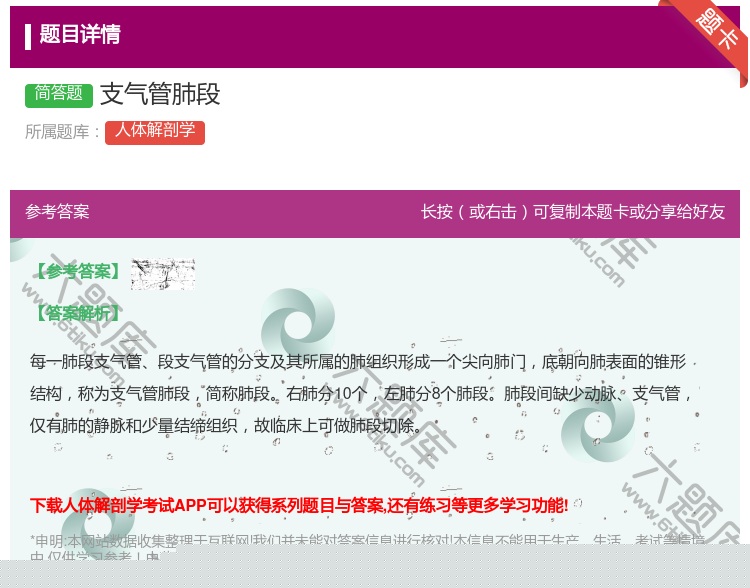 答案:支气管肺段...