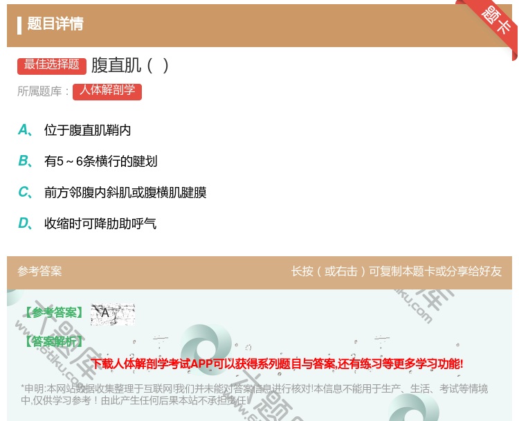 答案:腹直肌...