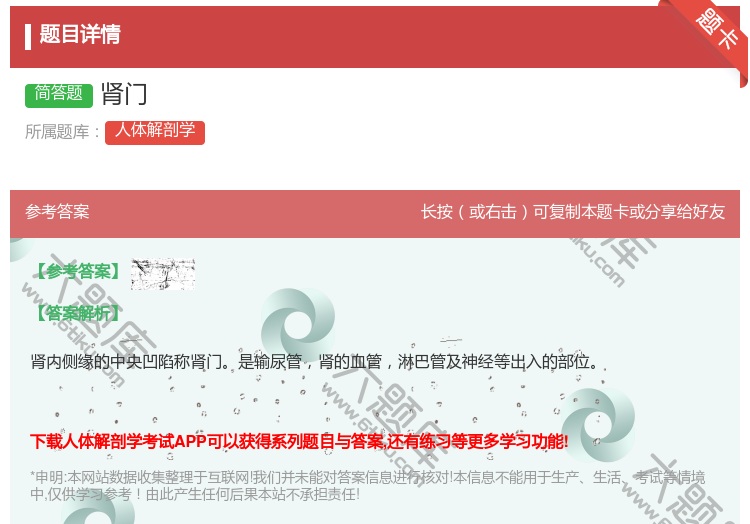 答案:肾门...