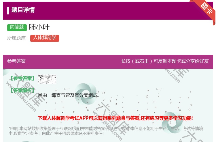 答案:肺小叶...