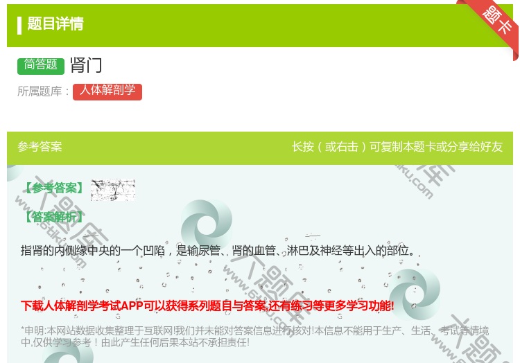答案:肾门...