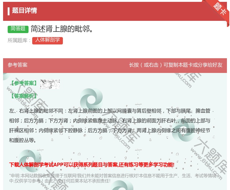 答案:简述肾上腺的毗邻...