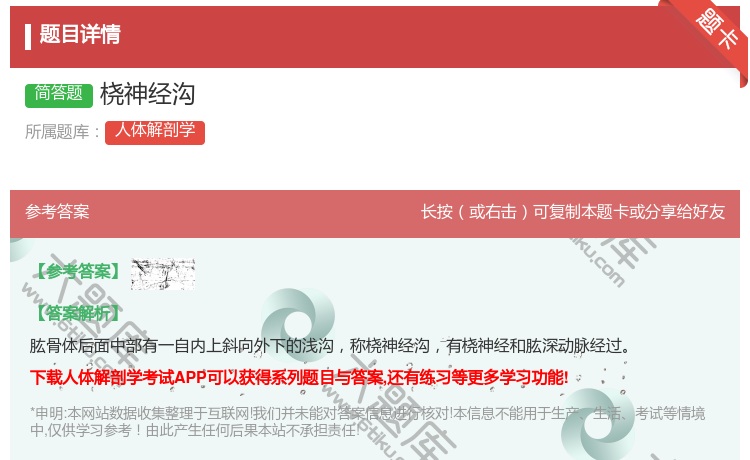 答案:桡神经沟...