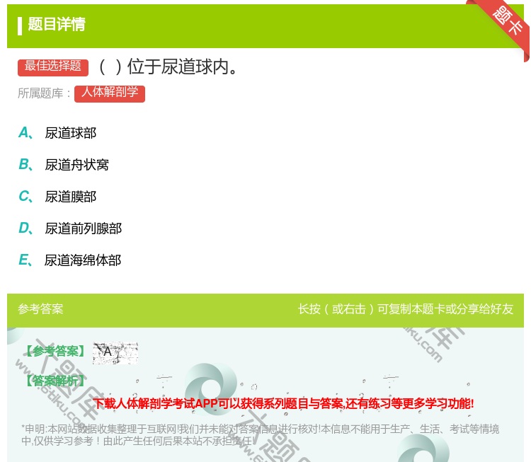 答案:位于尿道球内...