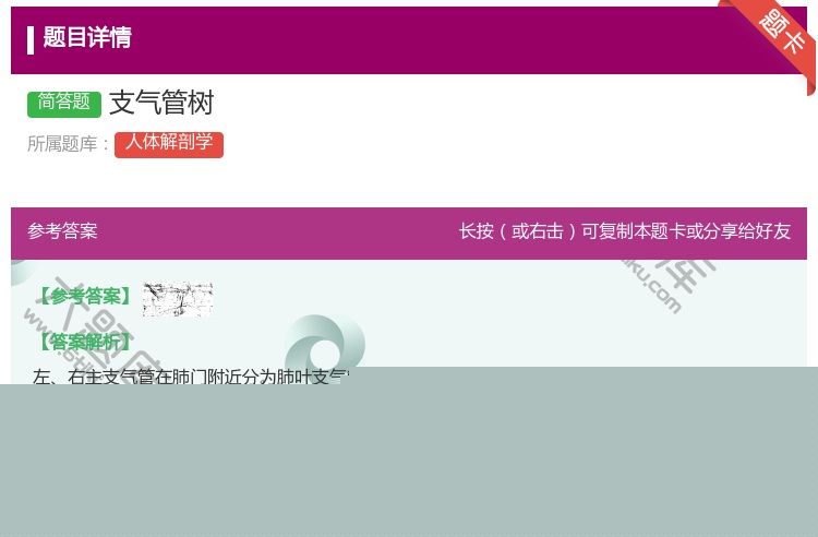答案:支气管树...