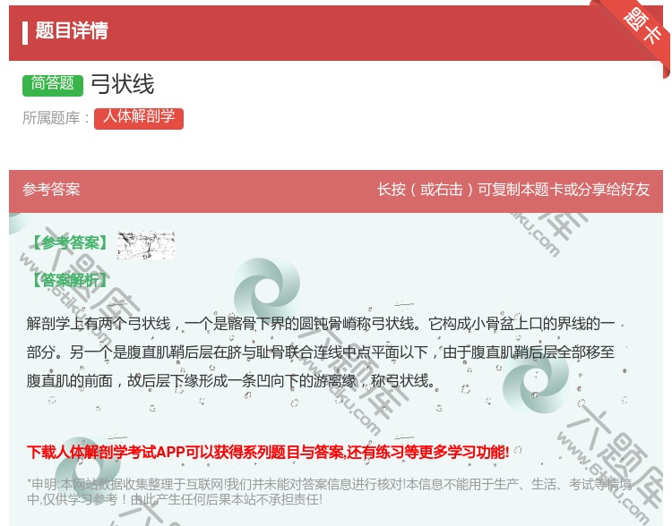 答案:弓状线...