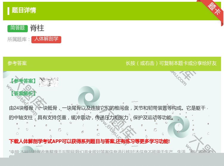 答案:脊柱...